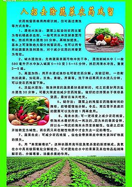 農(nóng)產(chǎn)品展板圖片