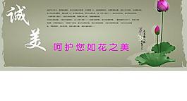 荷花展板圖片
