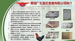 公司簡介展板圖片