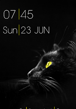 minimalcat