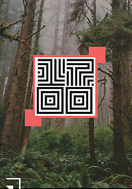 木材