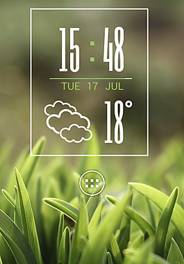 夏天的綠色