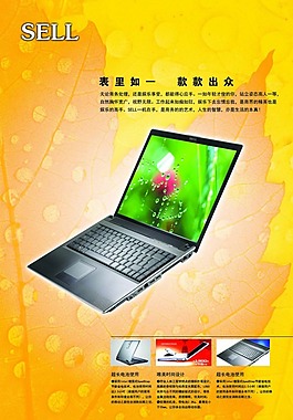 楓葉背景筆記本電腦單頁