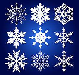 精美雪花矢量图