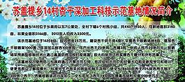杏干示范基地圖片