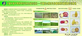 展板圖片