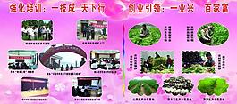 展板圖片