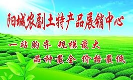 展板圖片