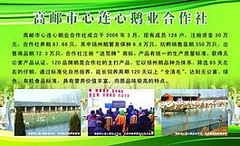 展板圖片