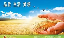 農業展板圖片