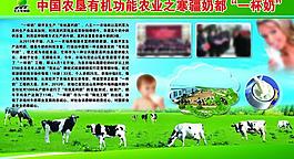 奶牛展板图片