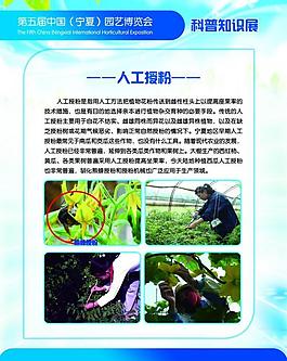 农业展板图片