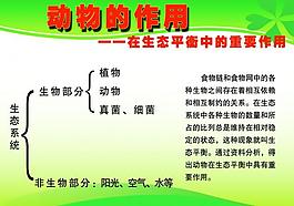 學(xué)校展板圖片