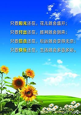 企業(yè)展板圖片