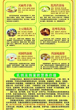 乳鴿展板圖片