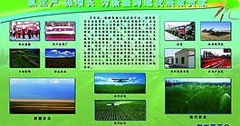 農(nóng)業(yè) 展板圖片