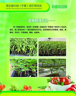 蔬菜展板图片