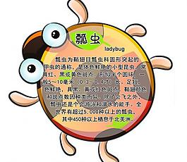 學(xué)校展板圖片