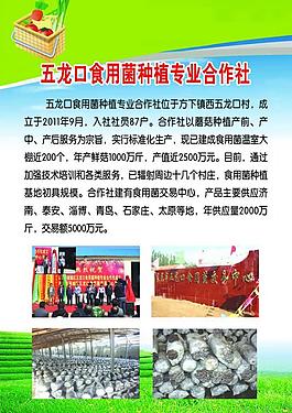 企業(yè)展板圖片