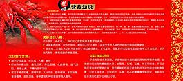 龍蝦展板圖片