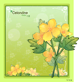 白屈菜花花卉矢量圖