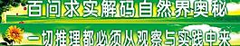 學(xué)校展板圖片