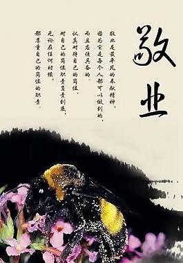 文化展板圖片