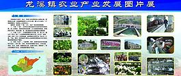 農業發展展板 農業展板圖片