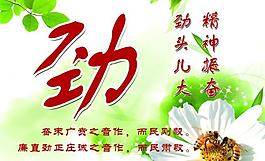 學校展板圖片