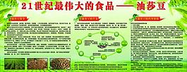 油莎豆展板圖片