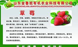 草莓展板圖片