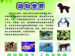 动物世界展板图片