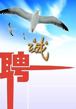 招聘展板圖片