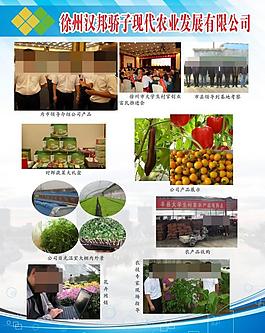 農業(yè)展板圖片