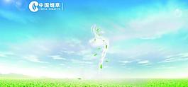 煙草展板圖片
