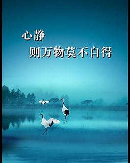 學校文化展板圖片