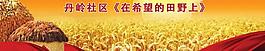 豐收展板 活動圖片