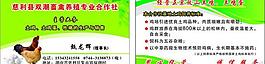 名片圖片