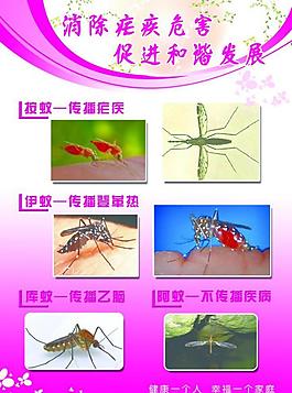 瘧疾展板圖片