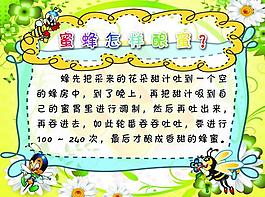 小學展板圖片