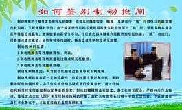 技术展板图片