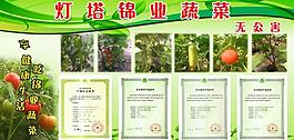蔬菜展板圖片