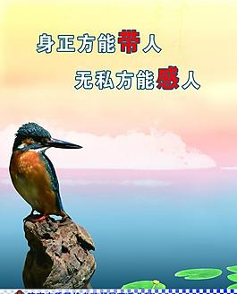 廉政展板圖片