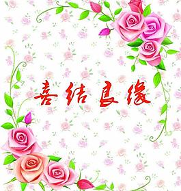 喜結(jié)良緣圖片