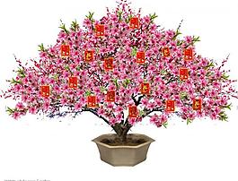 桃花圖片