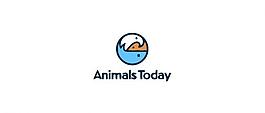 動物logo圖片