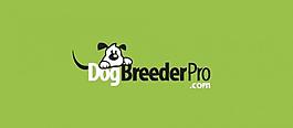 動物logo圖片