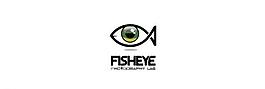 眼睛logo圖片