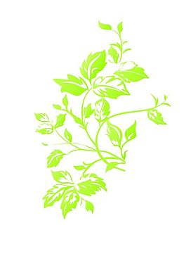草本植物