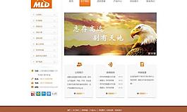 易狼网络 案例展示图片